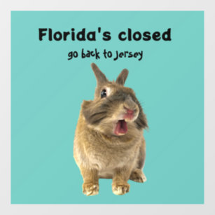 Funny Florida New Jersey Window Decal
