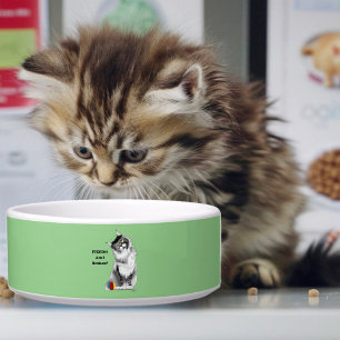 Funny Fluffy Maine Coon Cat Green Humor Bowl