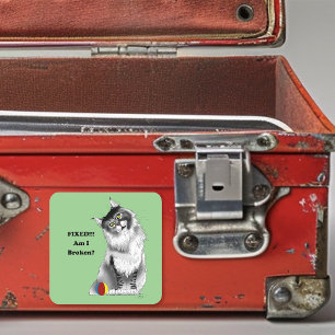 Funny Fluffy Maine Coon Cat Green Humor Square Sticker