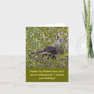 FUNNY FLUSHED-FACED BIRD/BELATED BIRTHDAY CARD