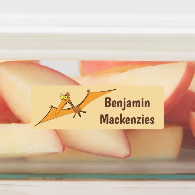 Funny flying pterodactyl cartoon personalized labels (Affixed)