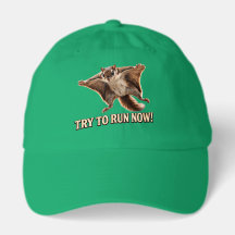 Funny Flying Squirrel Try To Run Now Meme