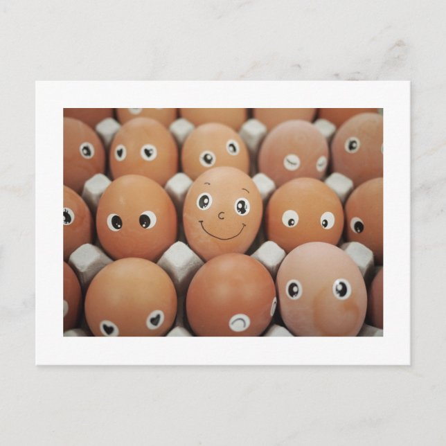 Funny Food Kitchen Humor Postcard (Front)