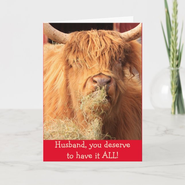 Funny For Husband Scottish Steer Birthday Card (Front)