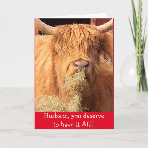Funny For Husband Scottish Steer Birthday Card