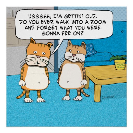 Funny Forgetful Cat Poster | Zazzle