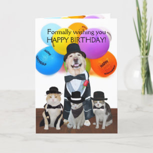 Funny Formal Pets Birthday for Kids Card