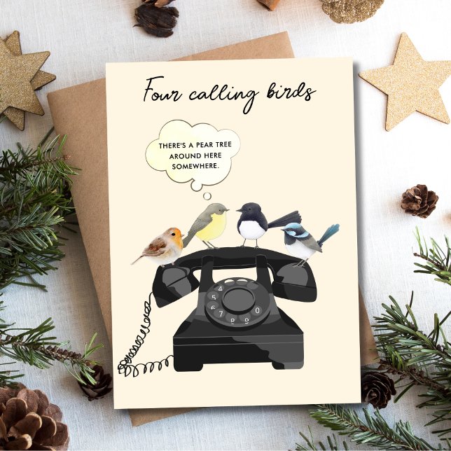 Funny Four Calling Birds Christmas Holiday Card (Creator Uploaded)