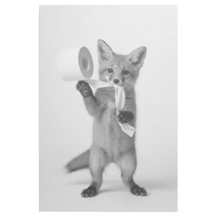 Funny Fox Holding Toilet Paper Minimalist Wildlife Gallery Wrap