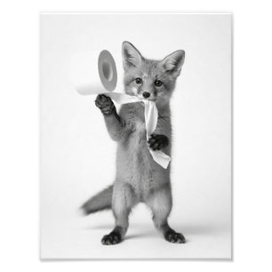 Funny Fox Holding Toilet Paper Minimalist Wildlife Photo Print