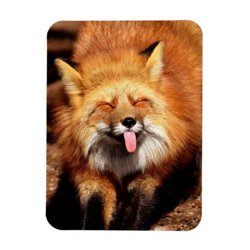 Funny Fox Sticking Its Tongue Out Magnet