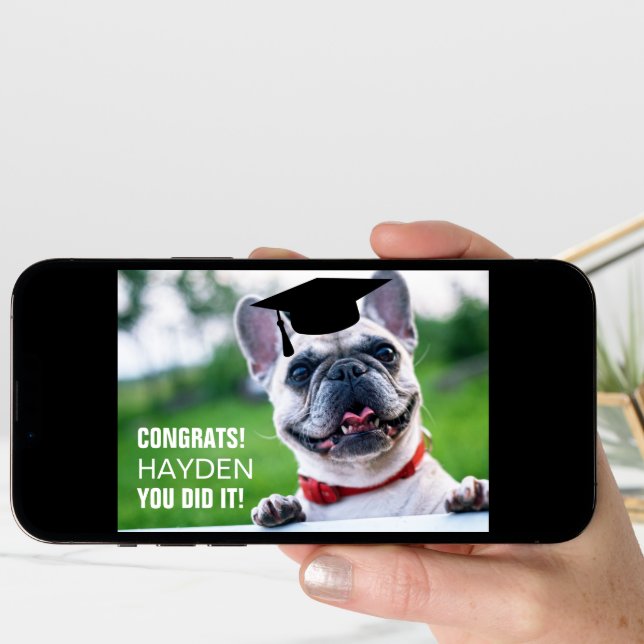 Funny French Bulldog Dog Photo Graduation  Card (Front Digital)