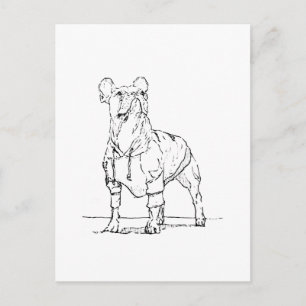 Funny French Bulldog– Thinking Of You Postcard