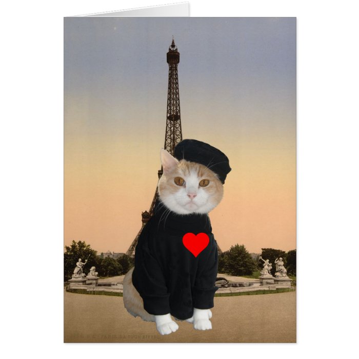 Funny French Cat/Kitty Valentine Card Zazzle