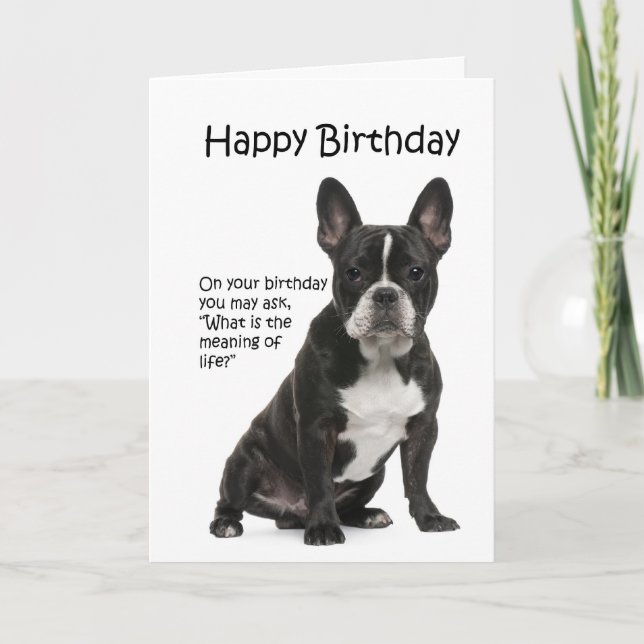 Funny Frenchie Birthday Card (Front)