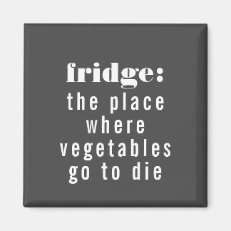 Funny Fridge Definition Gray and White Magnet