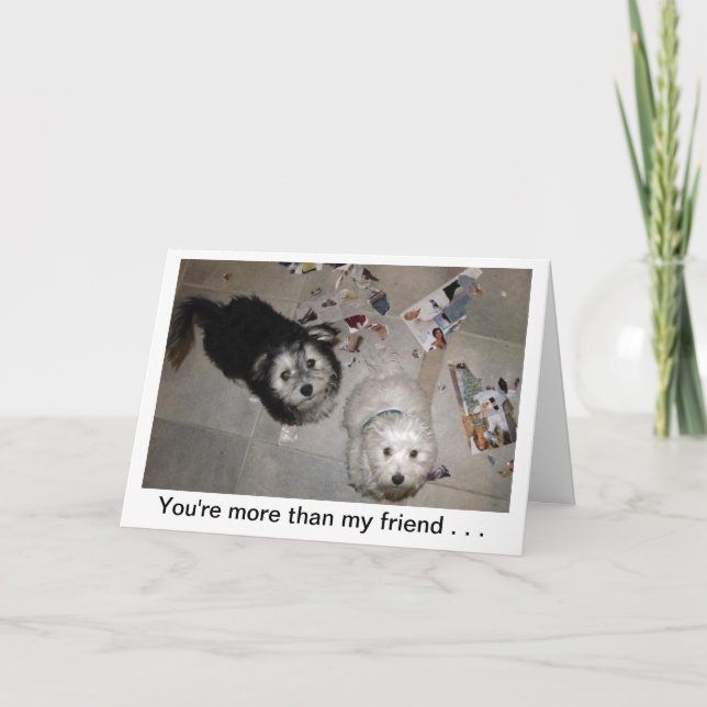 Funny Friend Puppy Birthday Card (Front)