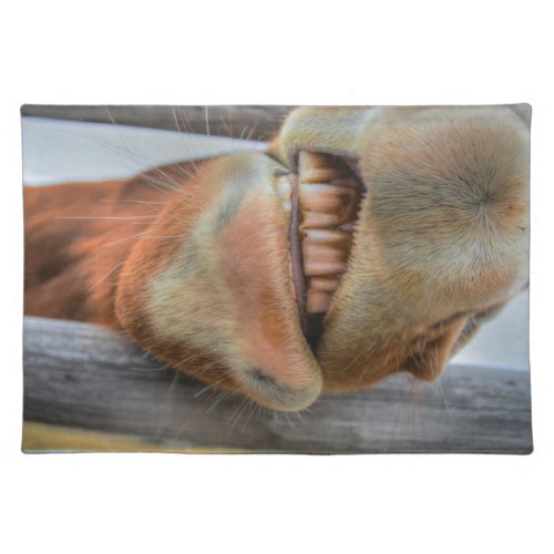 Funny Friendly Horse Muzzle and Teeth Cloth Placemat