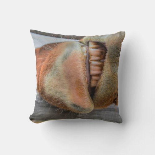 Funny Friendly Horse Muzzle and Teeth Throw Pillow