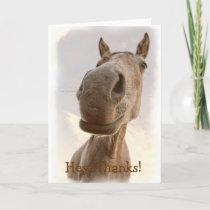 Funny Friendly Horse Thank You Card