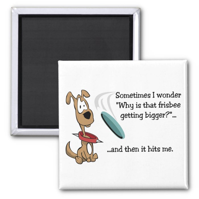 Funny Frisbee magnet