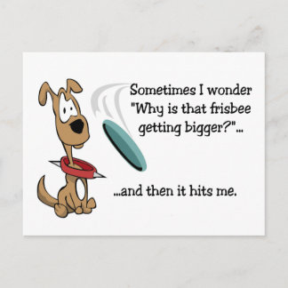 Funny Frisbee Postcard