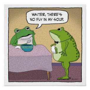Funny Frog Complains No Fly In My Soup Poster