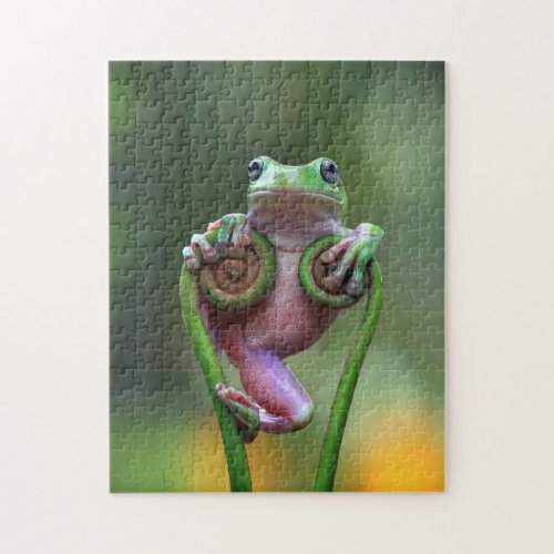 Funny Frog Jigsaw Puzzle