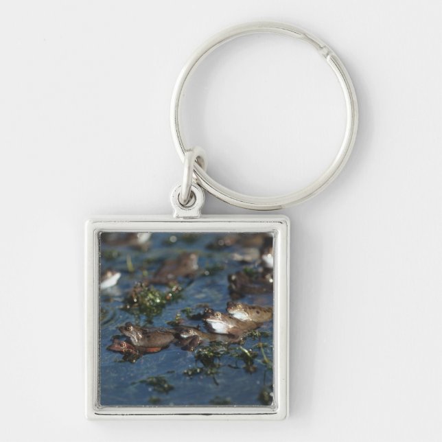 Funny frogs keychain (Front)