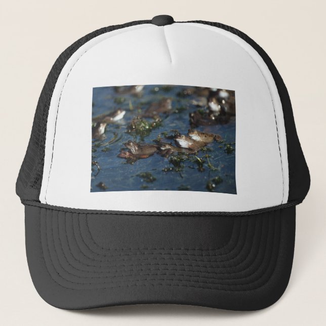 Funny frogs trucker hat (Front)