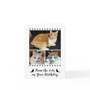 Funny From Cat Dog Pet 3 Photo Script Birthday Card