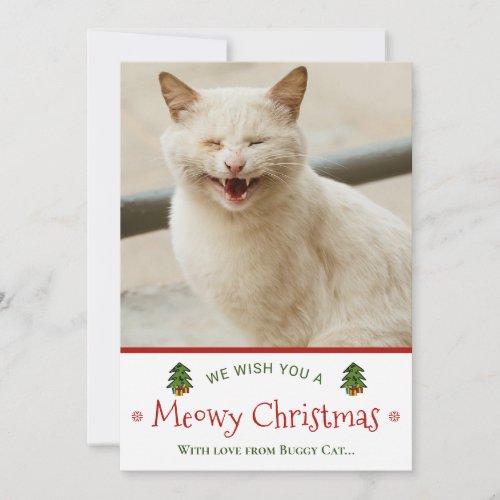 Funny From Cat Meowy Christmas Photo Holiday Card