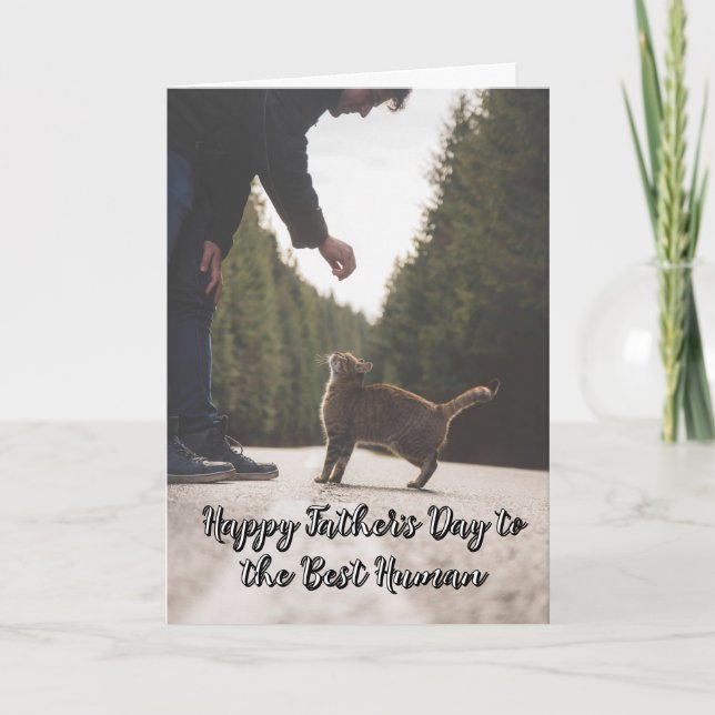Funny From the Cat Fathers Day Card (Front)