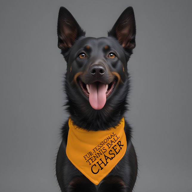Funny Fur-fessional Tennis Ball Chaser Pet Bandana Collar (Australia Kelpie Fur-Fessional Tennis Ball Chaser Bandana Cover Photo (close cropped))