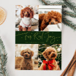 Funny Fur Real Joy Dog Photo Green Christmas  Holiday Card