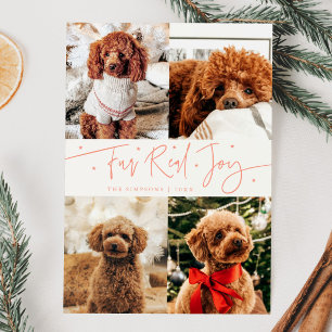 Funny Fur Real Joy Dog Photo Peach Christmas Holiday Card