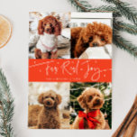 Funny Fur Real Joy Dog Photo Red Christmas  Holiday Card
