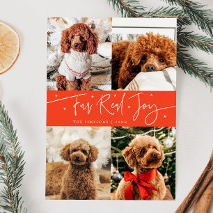 Funny Fur Real Joy Dog Photo Red Christmas Holiday Card
