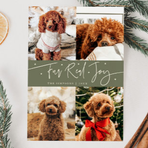 Funny Fur Real Joy Dog Photo Sage Green Christmas Holiday Card