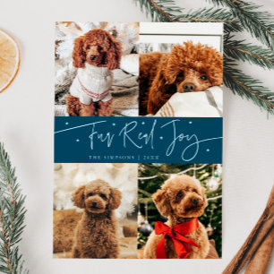 Funny Fur Real Joy Dog Photo Teal Christmas Holiday Card