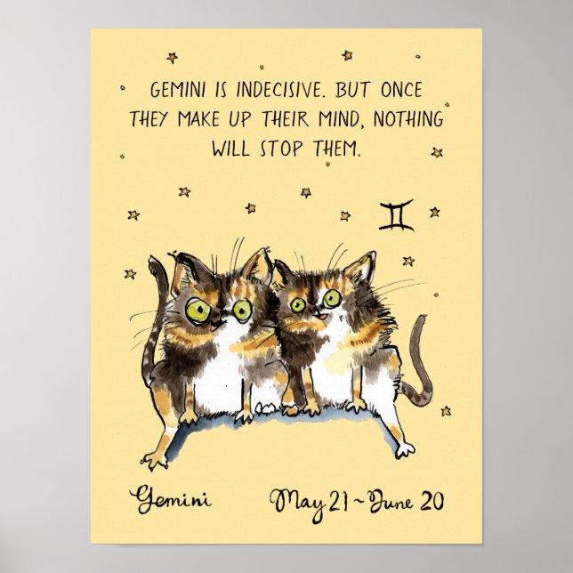 Funny Gemini poster Zodiac Cat Star sign poster (Front)