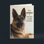 Funny German Shepherd Birthday Card<br><div class="desc">Funny German Shepherd birthday card for anyone! This card is customizable with your personalized message.</div>