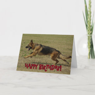 Funny German Shepherd birthday card