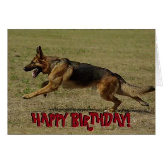 Funny German Shepherd birthday card | Zazzle.com