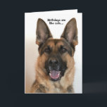 Funny German Shepherd Birthday Card<br><div class="desc">Funny birthday card for anyone who loves dogs but not cats.  This card is customizable with your personalized message or name.</div>