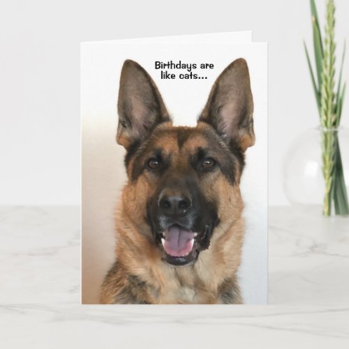 Funny German Shepherd Birthday Card