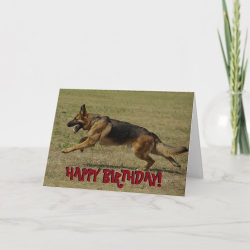 Funny German Shepherd card