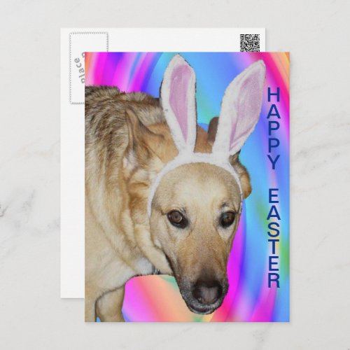 Funny German Shepherd Dog  Easter Bunny Ears Holiday Postcard