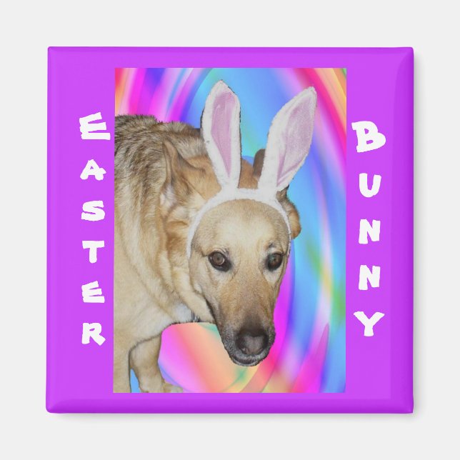 Funny German Shepherd Dog & Easter Bunny Ears Magnet (Front)