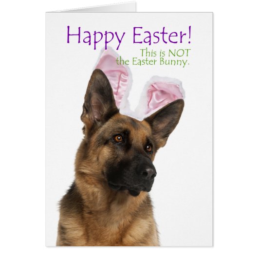 Funny German Shepherd Easter Card (Front)